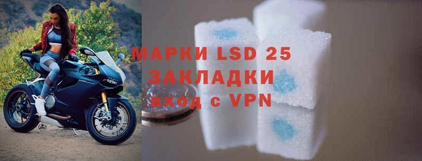 прущие грибы Нефтекумск