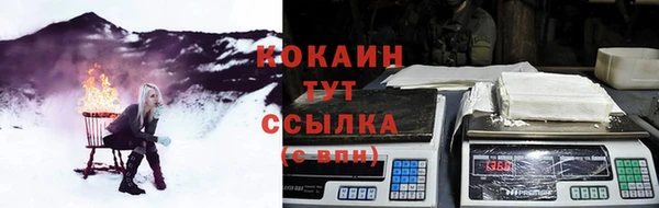 шишки Нея