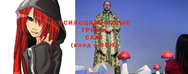 шишки Нея
