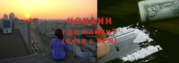 молекула духа Новозыбков