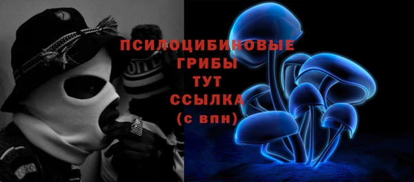 ECSTASY Армянск