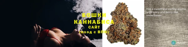шишки Нея