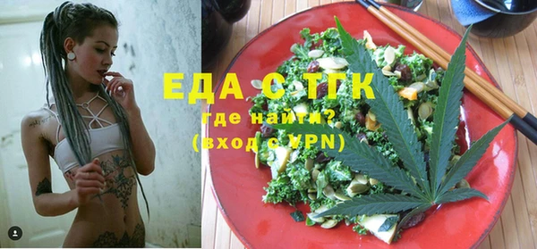 молекула духа Новозыбков