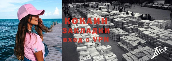 прущие грибы Нефтекумск