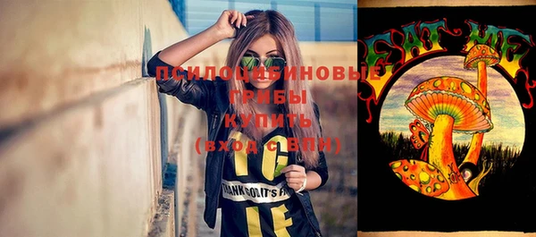 прущие грибы Нефтекумск