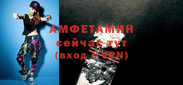 шишки Нея