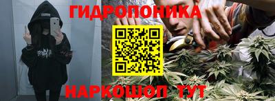 гашиш Будённовск