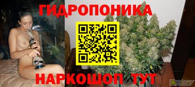 гидропоника Балахна