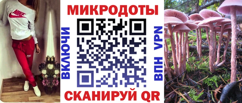 Галлюциногенные грибы Cubensis  Мыски 