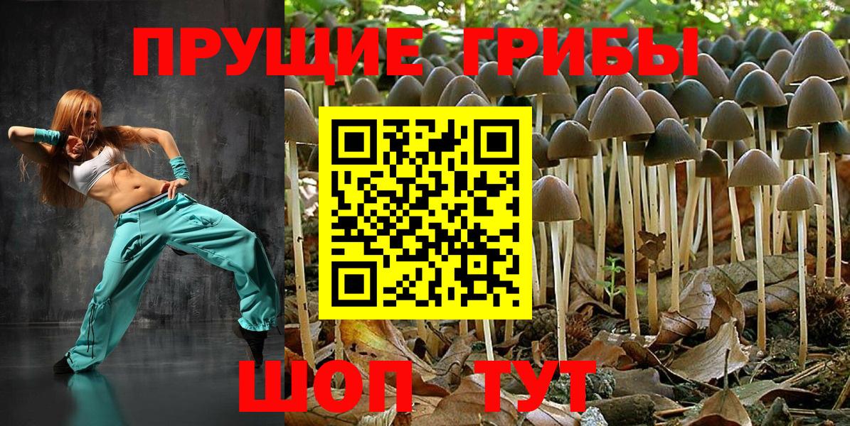 Галлюциногенные грибы ЛСД  Вход с VPN  Псилоцибиновые грибы Cubensis  Мыски 