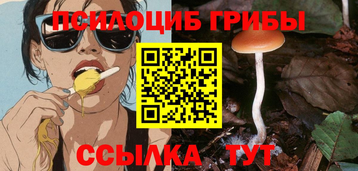 Галлюциногенные грибы Psilocybine cubensis Мыски