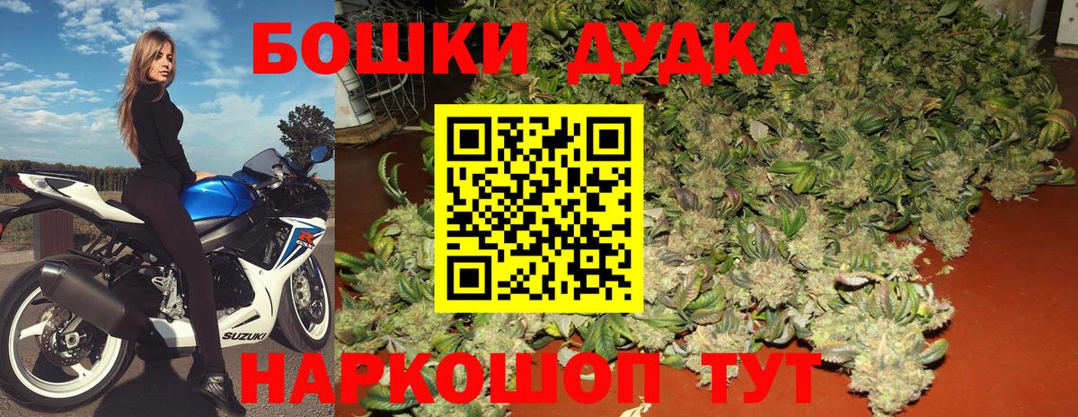 Канабис план  Мыски  Шишки марихуана гибрид 